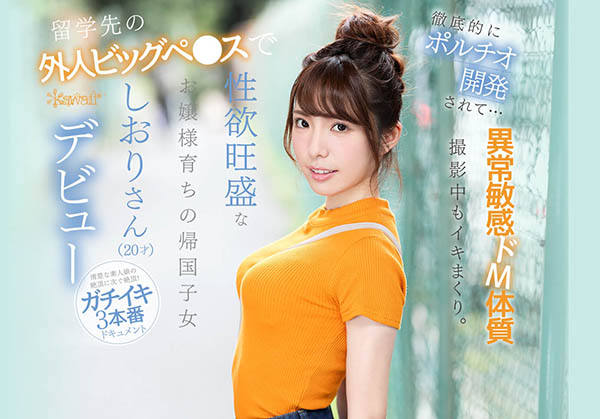 芦那しおり(芦那诗织)品番作品IPX-376介绍及预览-九聚集