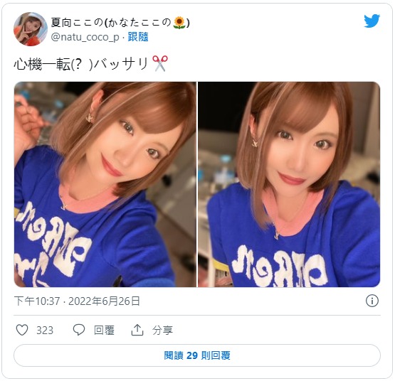 夏向心乃(夏向ここの)出道作品番号及封面,夏向ここの个人简介