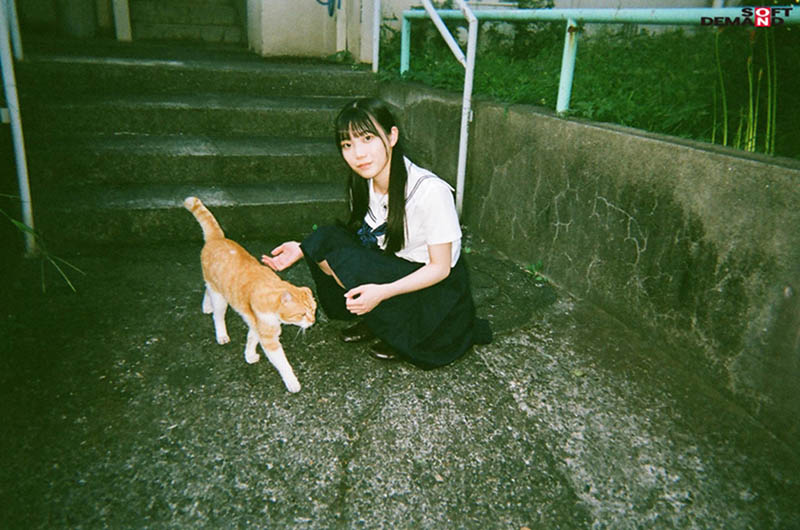 19岁合法萝莉《望实香苗》精选作品推荐介绍及封面预览