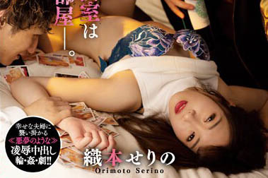 人妻系女优《织本芹野》精选作品推荐介绍及封面预览