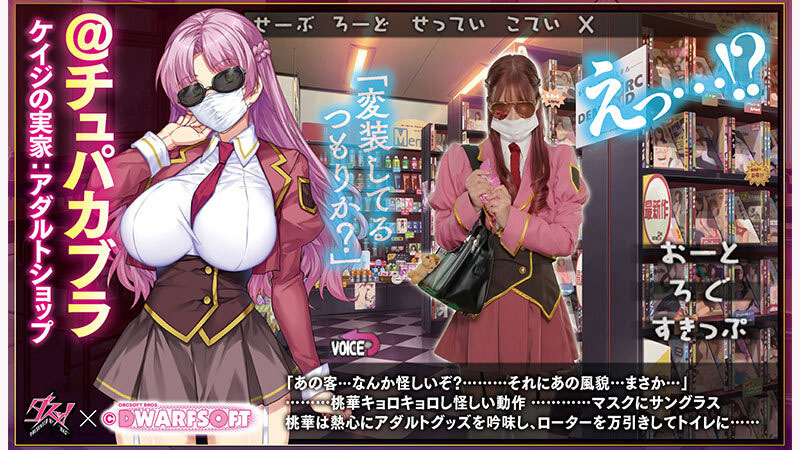 「美园和花」最新作品DASS-765介绍及封面预览